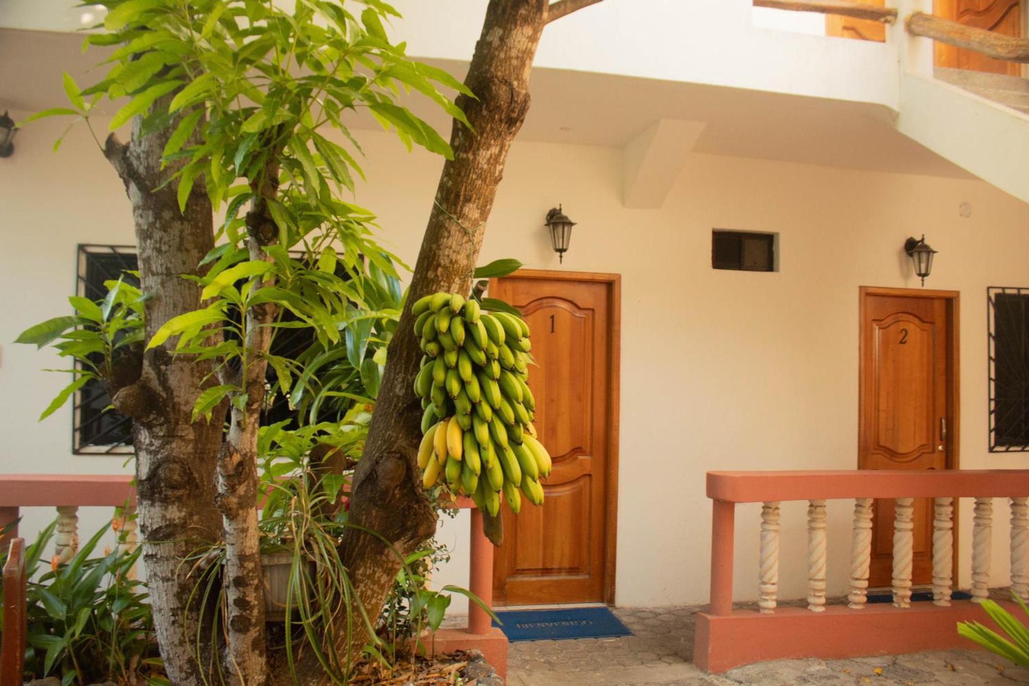 Hotel Casa De Nelly Puerto Baquerizo Moreno Exteriér fotografie